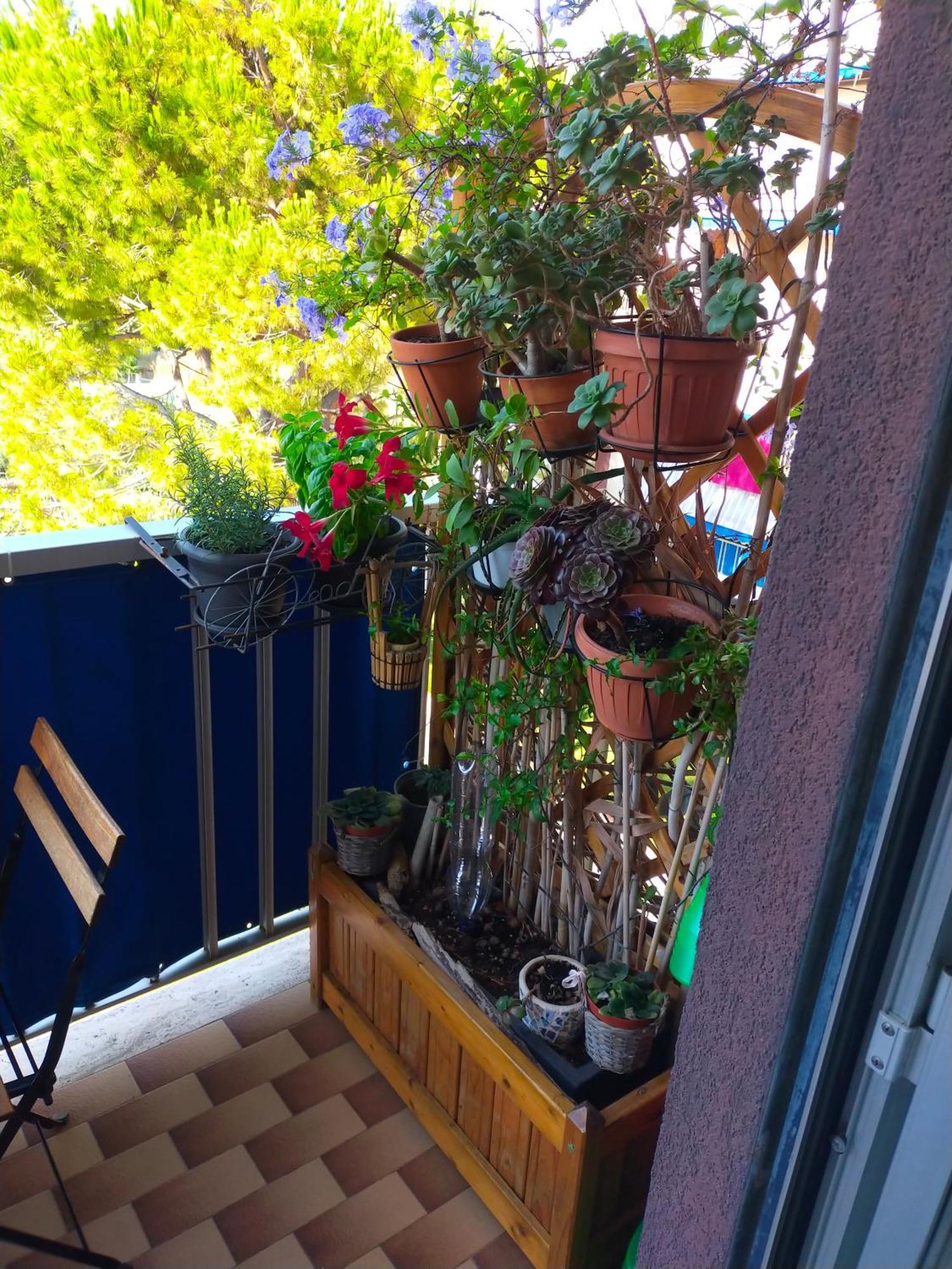 Apartment Riviera Trilocale Wifi E Parcheggio Privato Ventimiglia